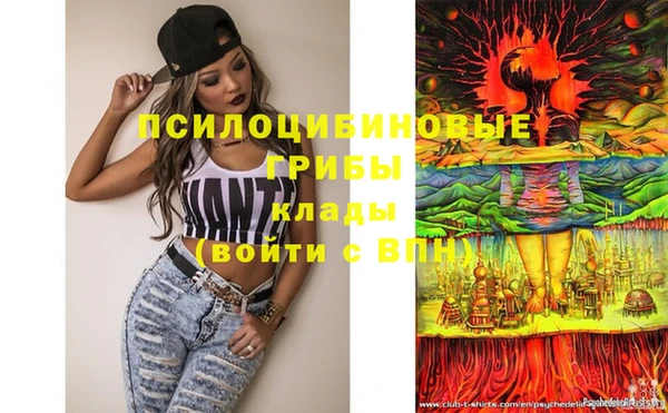 mdma Горнозаводск