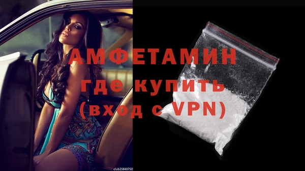 прущие грибы Вязники