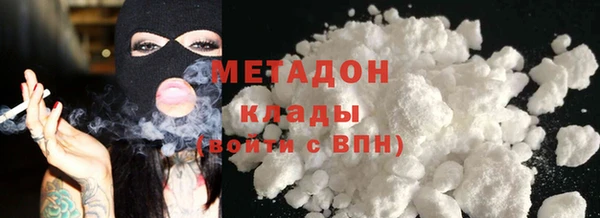 прущие грибы Вязники