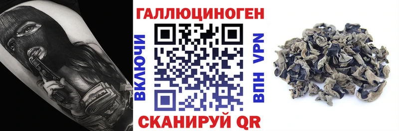Галлюциногенные грибы прущие грибы  Мариинский Посад 